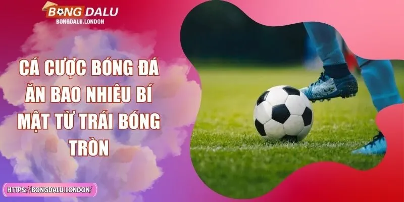 Cá Cược Bóng Đá Ăn Bao Nhiêu Bí Mật Từ Trái Bóng Tròn