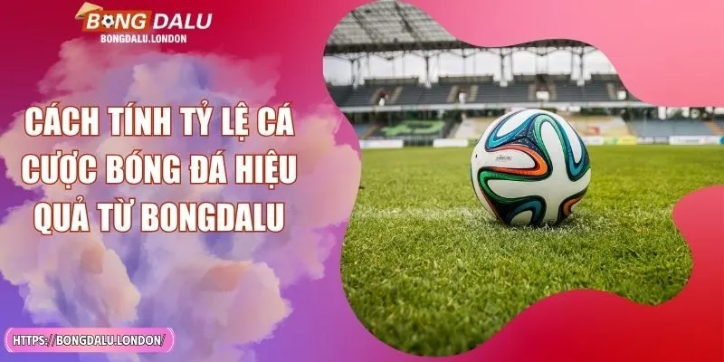 Cách Tính Tỷ Lệ Cá Cược Bóng Đá Hiệu Quả Từ BONGDALU