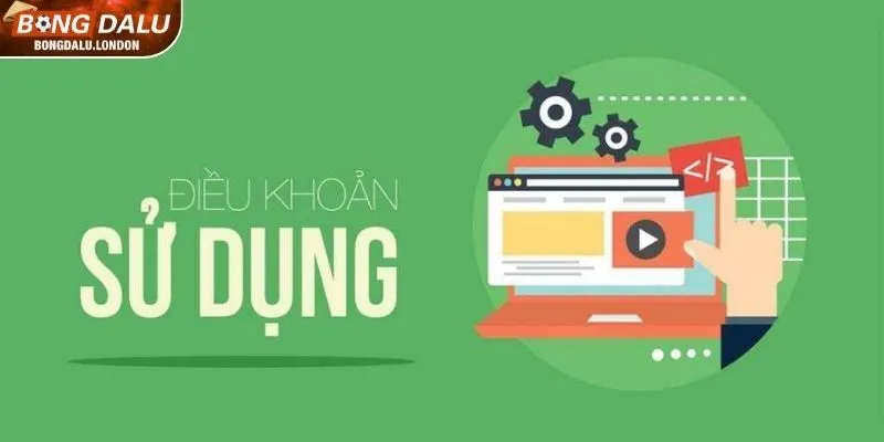Cơ chế giải quyết tranh chấp theo điều khoản của BONGDALU