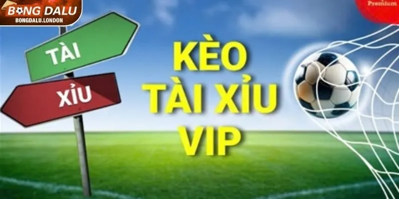 Phân tích bàn thắng trung bình khi soi kèo tài xỉu