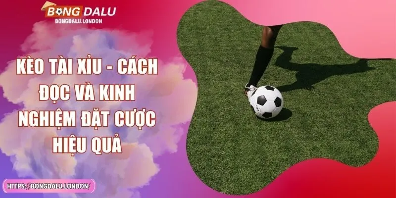 Kèo Tài Xỉu - Cách Đọc Và Kinh Nghiệm Đặt Cược Hiệu Quả