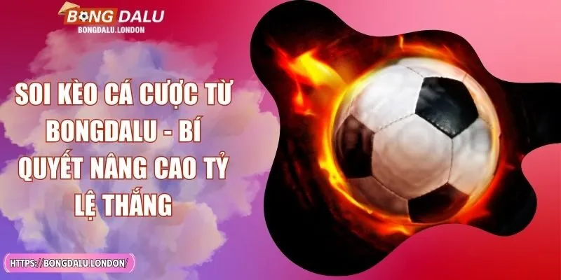 Soi Kèo Cá Cược Từ BONGDALU - Bí Quyết Nâng Cao Tỷ Lệ Thắng