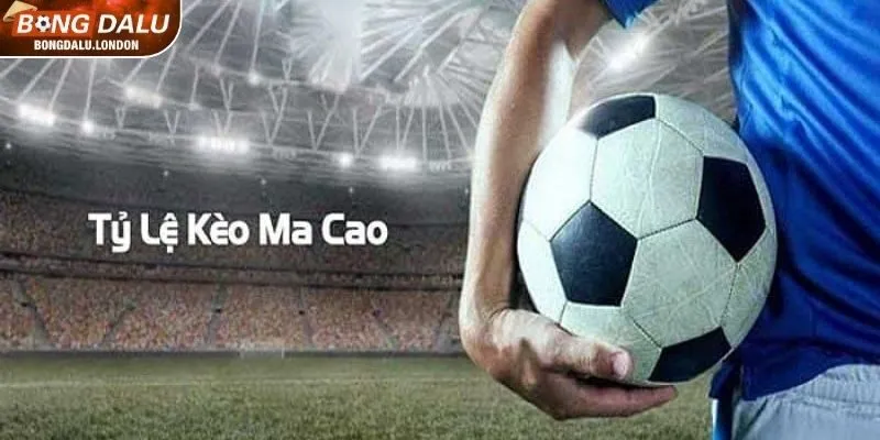 Giới thiệu về tỷ lệ cá cược Ma Cao hấp dẫn